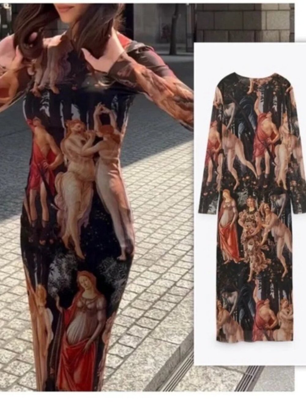 Zara Rare Limited Edition Boticelli Maxi dress Renaissance Artwork Sandro Mesh
